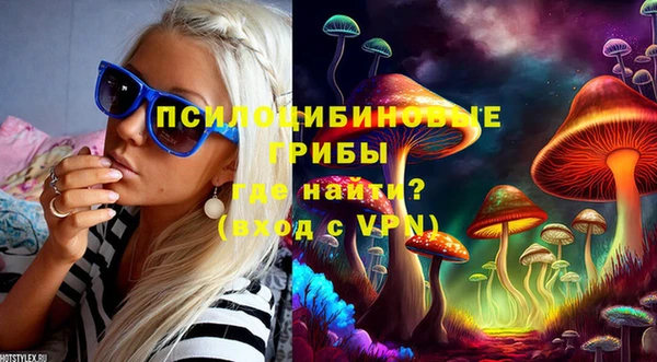 спиды Каменка
