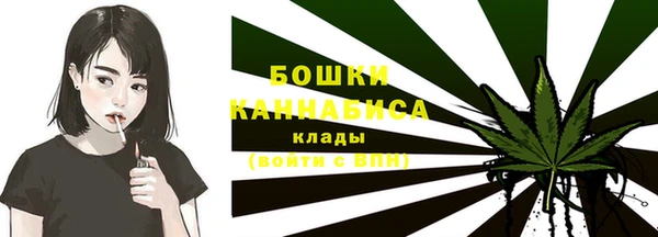 молекула духа Каменск-Шахтинский