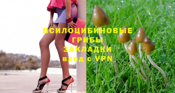 молекула духа Каменск-Шахтинский