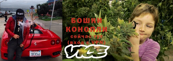 спиды Каменка