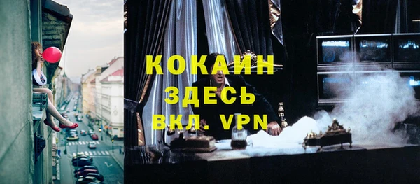 спиды Каменка