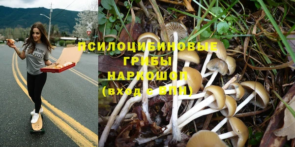 спиды Каменка