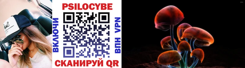 Галлюциногенные грибы Psilocybe  Купить  Вяземский 